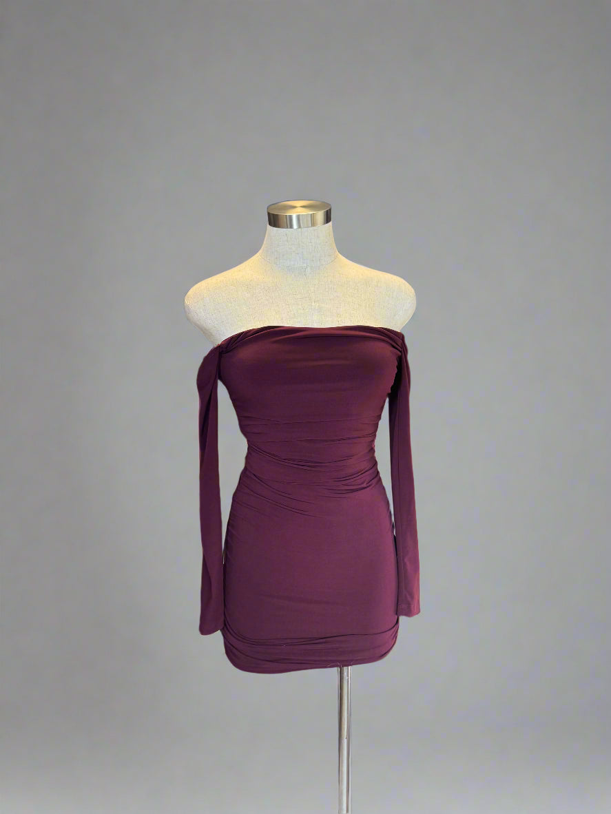 Maroon Sleeveless Mini Dress
